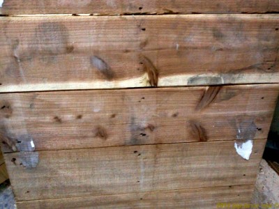 CameraZOOM-20120104235911738.jpg