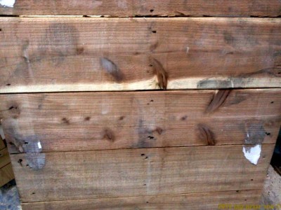 CameraZOOM-20120104235857607.jpg