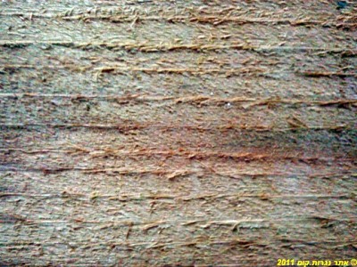 CameraZOOM-20120104235600529.jpg