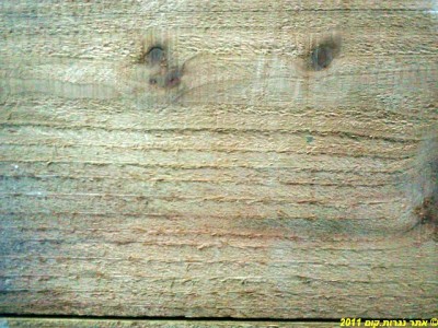 CameraZOOM-20120104235511770.jpg