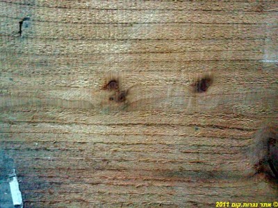 CameraZOOM-20120104235453917.jpg