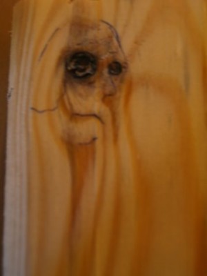 ghostly_wood.JPG
