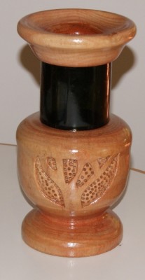 banksia 1.JPG