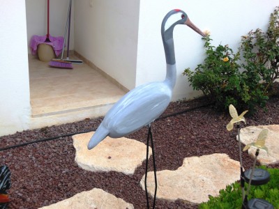 DSCN0913.JPG