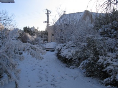 Picture 005.jpg