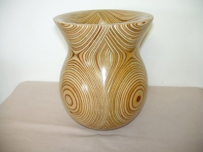 f_w_wow_vase  20091120.JPG