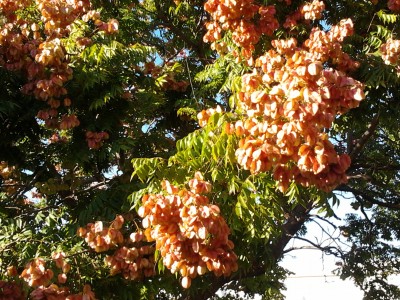 2012-10-29 14.49.01.jpg