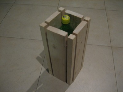 עציץ 2 008.jpg