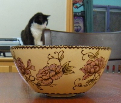DSCN2903.JPG