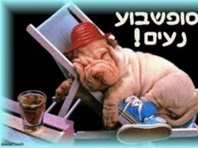  נעים.jpg