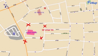 צפרדע 1.JPG