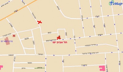 צפרדע 2.JPG